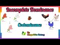 Genetics: Co-Dominance and Incomplete Dominance