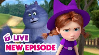 🔴 LIVE STREAM 🎬 Masha and the Bear 🆕 New Episode 🧙 Frogbook 📚🐸