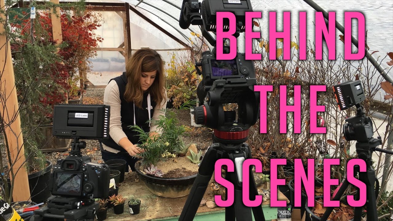 Nativity Fairy Garden - Behind the Scenes