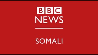 TOOS: Barnaamijka Doodda Jimcaha ee BBC-da