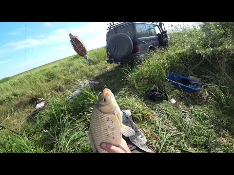 Заехали в такую глушь. Там караси больше сазанов.