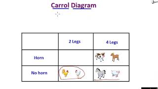 Read and interpret a Carroll diagram