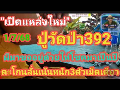 เปิด แหล่งใหม่ ปู่วัดป่า 392 ผีมาขออยู่ด้วย ให้โชคมาเป็นปี ตะโกนลั่นเน้นๆหนักๆ 3 ตัวเม็ดเดียว