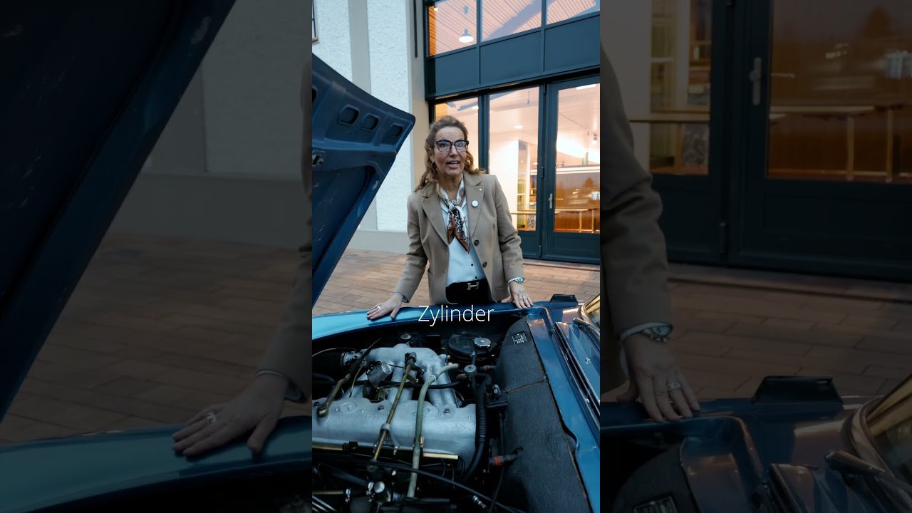 Video-voorbeeld van Mercedes-Benz 230 SL (1965)