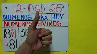 NUMEROS FUERTES PARA LOTERIAS HOY MARTES 12 DE AGOSTO 2025 NUMEROS PARA LOTERIAS...!!!