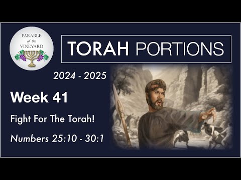 Torah Portion Week 41 - Numbers 25:10 - 30:1 (Phineas and Zeal for the Torah)  2024 - 2025