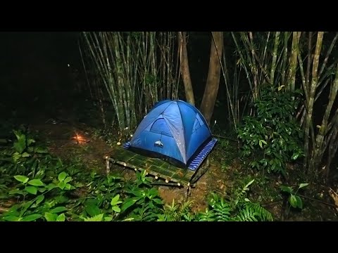 สร้างที่พักยกพื้นสูง ป้องกันสัตว์เลื้อยคลานแมลงพิษ ใช้ชีวิตริมป่าพรุ  ep.277