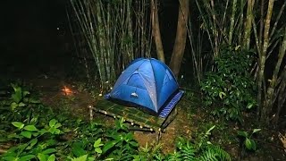 สร้างที่พักยกพื้นสูง ป้องกันสัตว์เลื้อยคลานแมลงพิษ ใช้ชีวิตริมป่าพรุ  ep.277