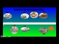 Timeline Projects and Google Slides