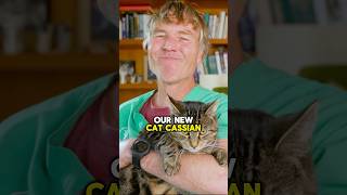 #CKD #cats #vaccine #petfood #catfood #petcare
