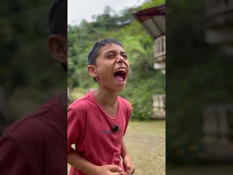 Niño molestaba a las abejas y no creerás lo que pasó #reflexiones