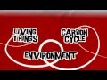 The Carbon Cycle Explained
