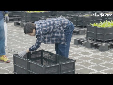 【綠色進行第三式：天台都可以種菜！】 - YouTube