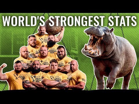 Fascinating Facts And Stats About The 2021 World S Strongest Man Barbend