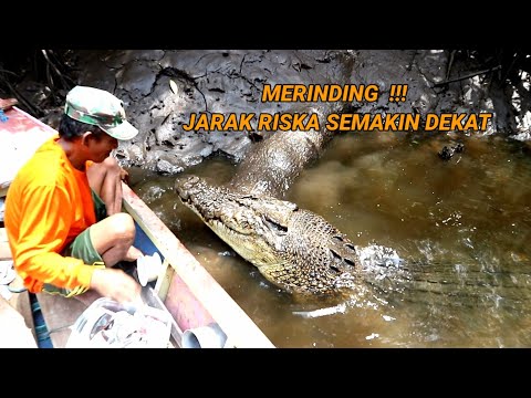 spot jantung,diikuti buaya riska dari belakang perahu, jarak riska semakin dekat !?