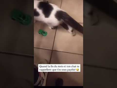 😂😂😂