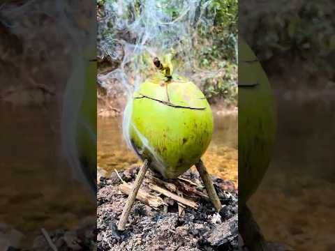 COCONUT RICE SURVIVAL SECRETS REVEALED