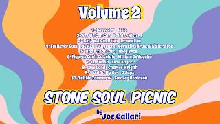 Stone Soul Picnic by Joe Callari Volume 2, BBQ Jams, The Best R&B, Funk & Soul Jams, Philly Soul