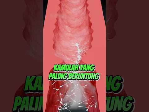 Kamulah Yang Paling Beruntung #faktaunik #sains #sainsasyik
