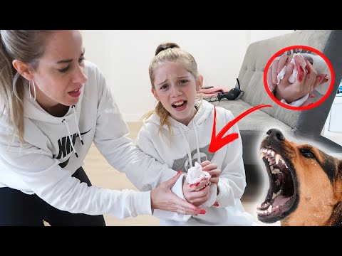 A DANIELA LE ATACA SU NUEVA MASCOTA!LE MUERDE EN LA MANO VAMOS AL HOSPITAL DivertiGuay
