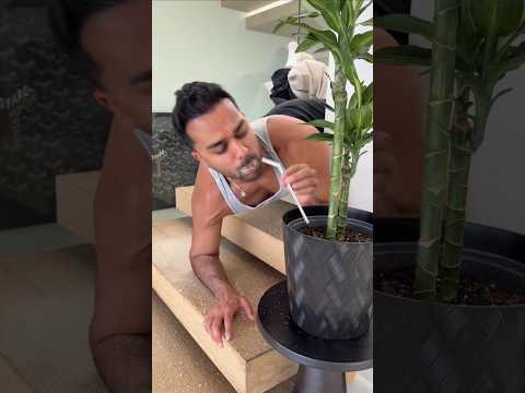 The Boy Began to Scream 😱