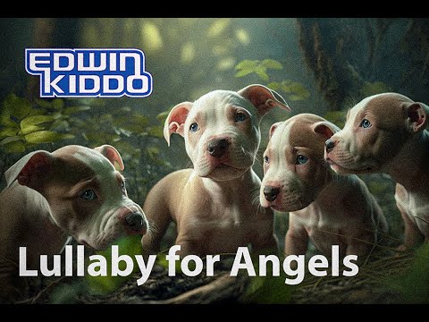 EK - Lullaby for Angels