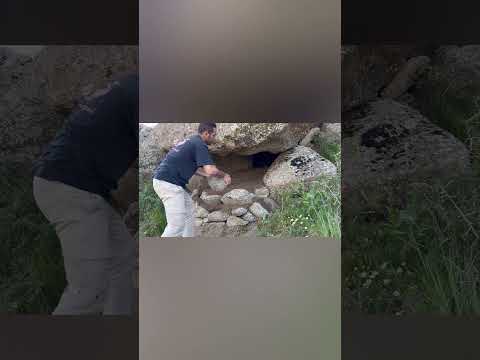 I turned the natural gap between the rocks into a safe and comfortable shelter|#shorts #short