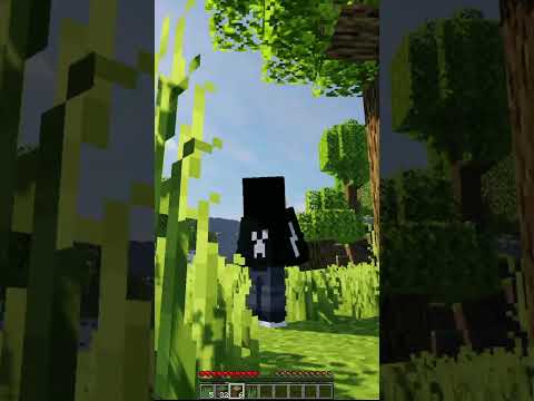 Minecraft Tapi Aku Mendapatkan Block Yang Aku Lihat #shorts