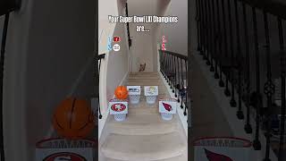 The Corgis Superbowl Pick is IN! 👀🔥