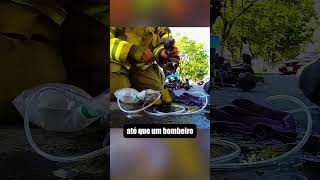 Animais Pedindo Ajuda de Humanos