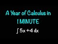 Calculus Derivatives and Integrals