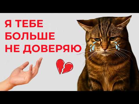 КОШКА этого НЕ ПРОСТИТ 💔