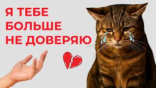 КОШКА этого НЕ ПРОСТИТ 💔