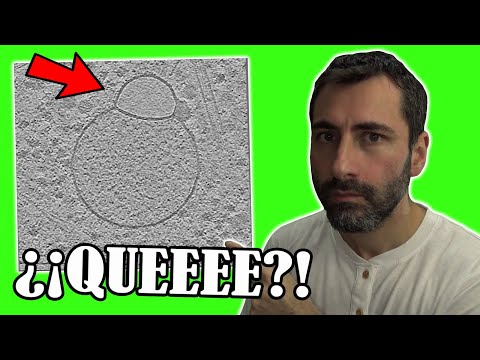 ¡CIENTÍFICOS EN SHOCK! Descubren Algo INCREÍBLE Oculto en NUESTRAS CÉLULAS