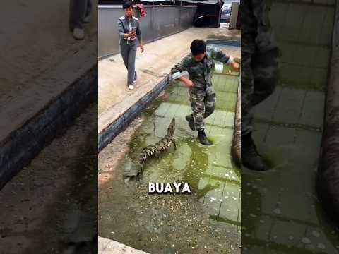 Seorang Tentara Berilmu Padi #shorts