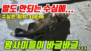 거제 볼락 왕사미 잡으러 Go~ Go~ #낚시 #fishing #캠낚 #차박 #블루앤피쉬 #더락 #볼락 