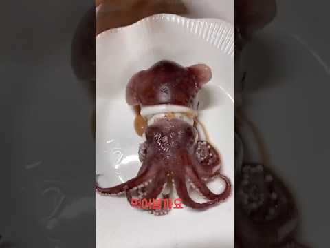 잘못먹으면 큰일나는 오징어 (속초수산시장)