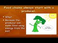 Food Chains and Ecosystem Roles