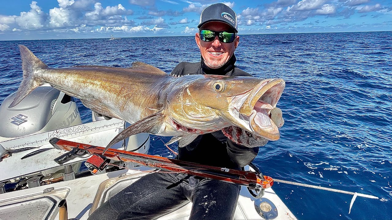 Monster Sharks and Cobia Catch & Cook (The Craziest Thing I-ve Ever Done) - Bluegabe