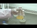 Enzyme Production and Centrifugation