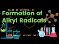 Understanding Alkyl Radicals