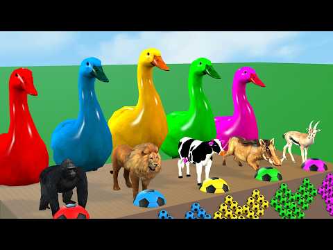 Paint Animals Cow Elephant Gorilla Buffalo Zebra Lion, Fountain Crossing Transformation Cartoon