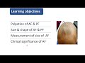 Anterior Fontanel Assessment and Implications