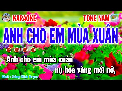 Karaoke Anh Cho Em Mùa Xuân Tone Nam | Nhạc Xuân 2025