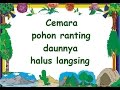 Characteristics and Descriptions of the Cemara Tree