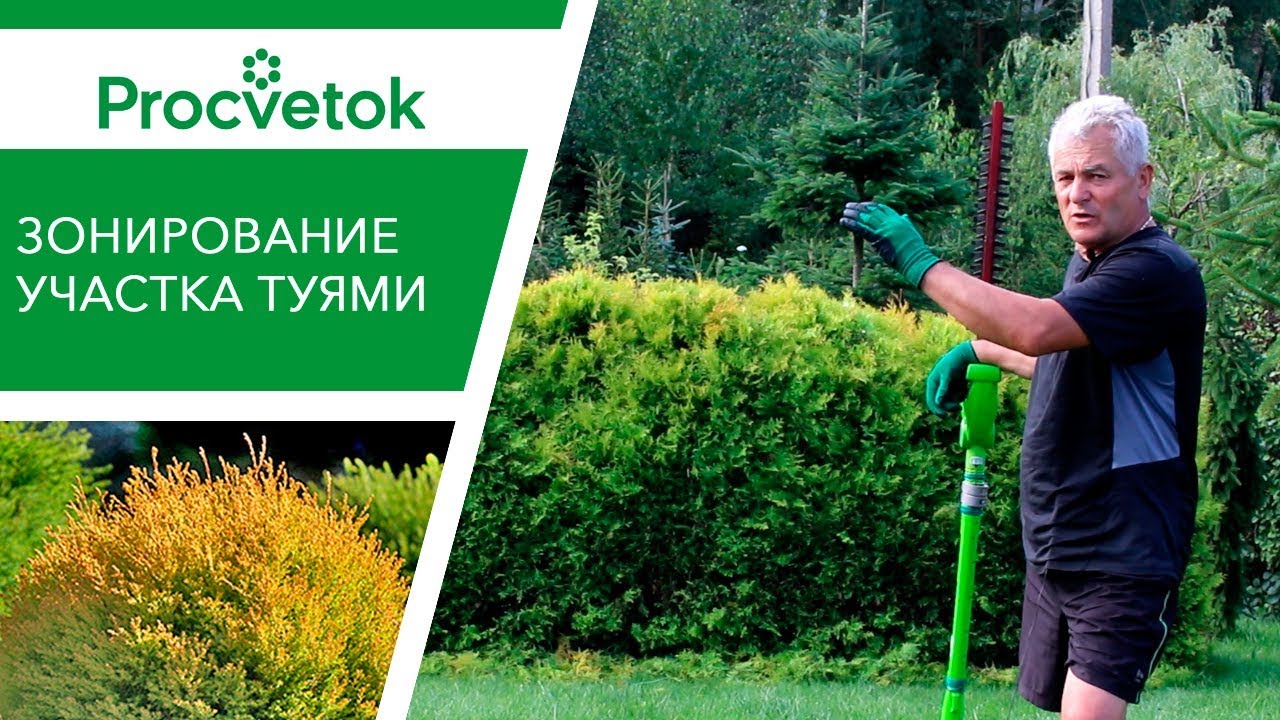 Как спрятать огород. Эффектный прием ландшафтного дизайна.