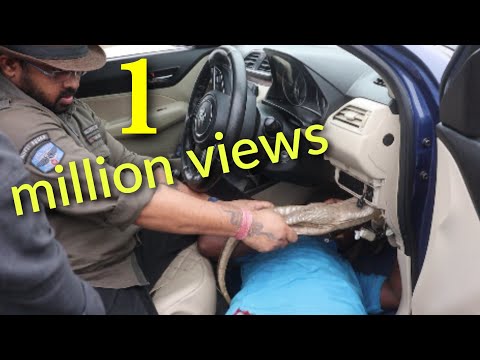 | |monitor Lizard कार में घुस गया खतरनाक गो सांप dangerous rescue||