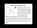 Animal Behavior and Communication Concepts