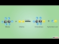 Reactions of Carbon Compounds