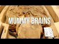 Ancient Egyptian Mummification and Discoveries